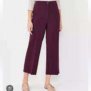 Ann Taylor Curvy Kate Pants